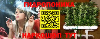 гидра Беслан