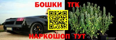 тгк Балаково