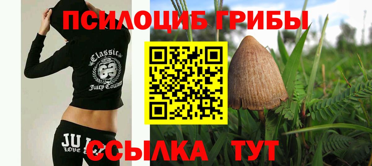 Галлюциногенные грибы мицелий Богородск