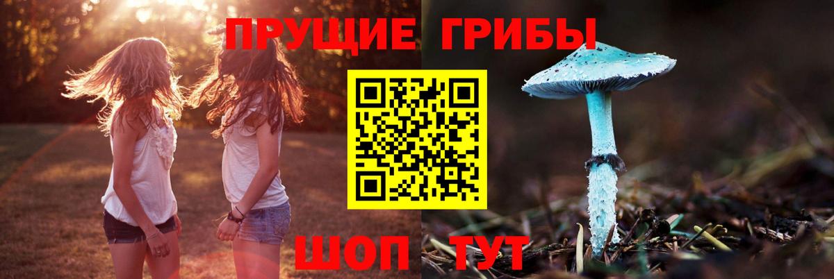Псилоцибиновые грибы GOLDEN TEACHER Богородск